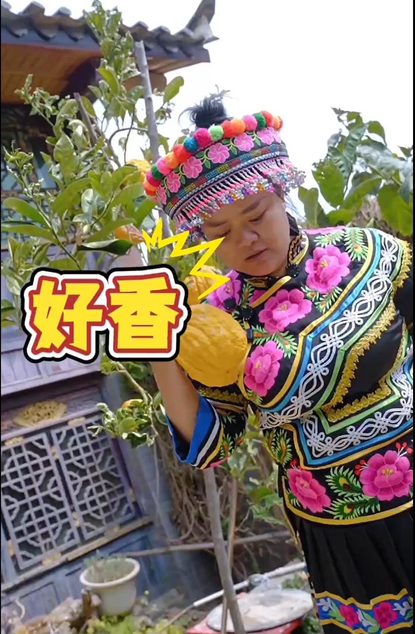 啊莫莫生态园