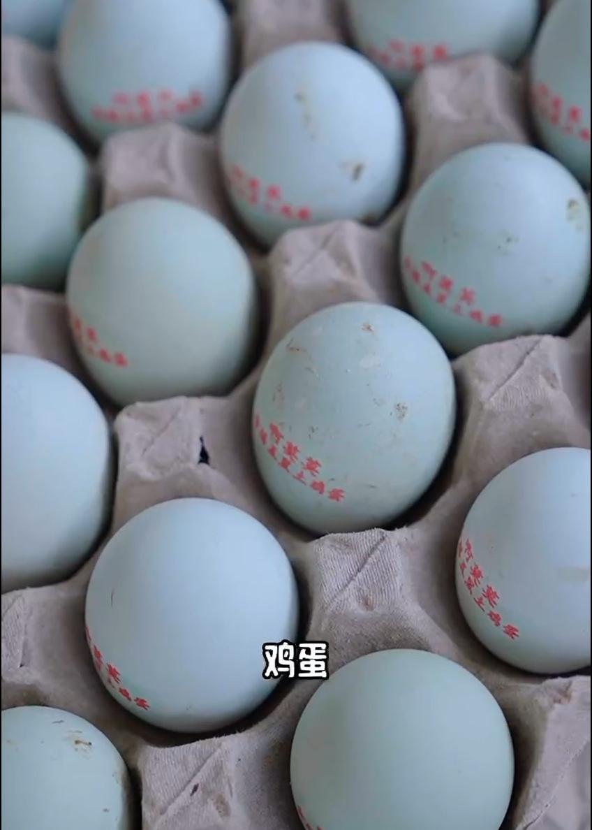 啊莫莫生态园